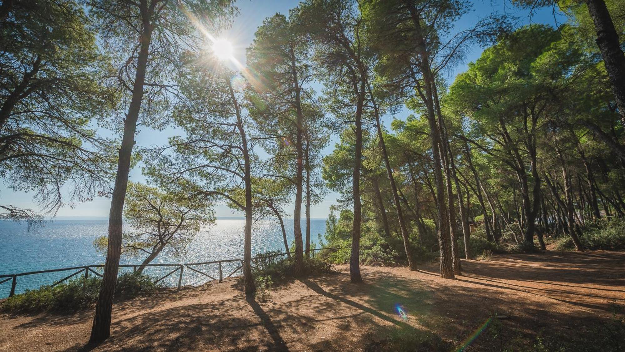 Squirrel Beach Front Villa, Metamorfosi Exteriör bild