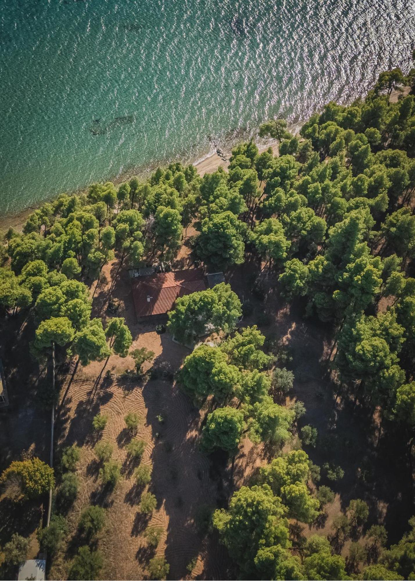 Squirrel Beach Front Villa, Metamorfosi Exteriör bild