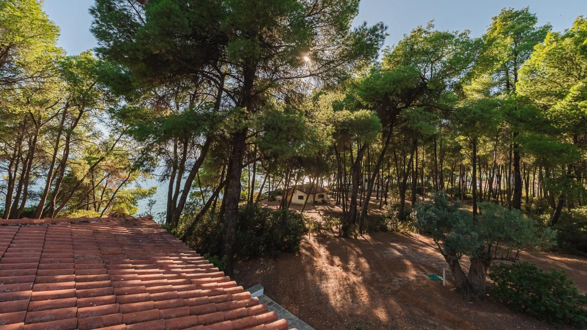 Squirrel Beach Front Villa, Metamorfosi Exteriör bild